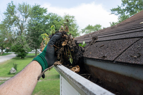 Picture of gutter clean out.